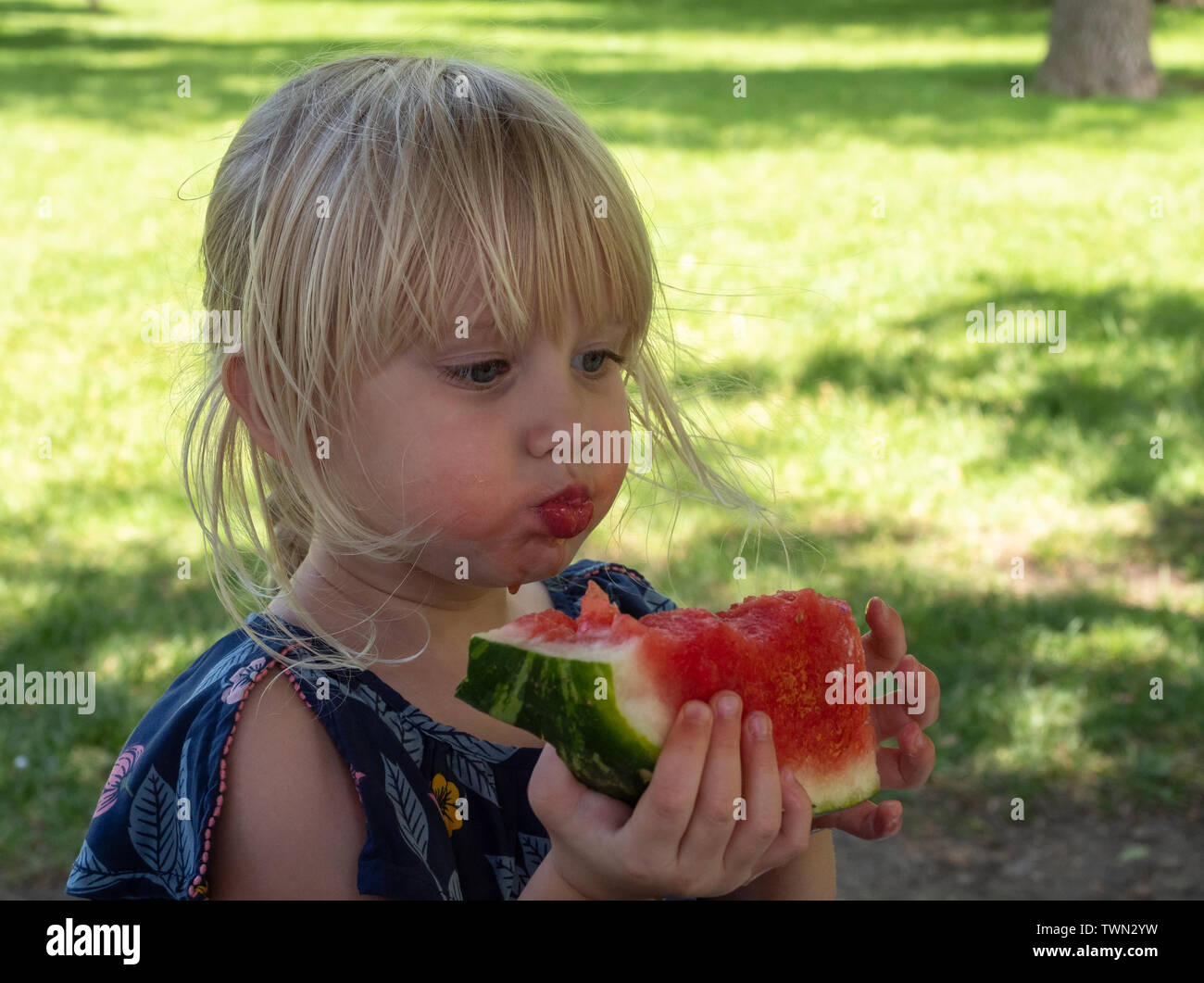 Threeyearold caucasian girl with a mouth full of watermelon that she