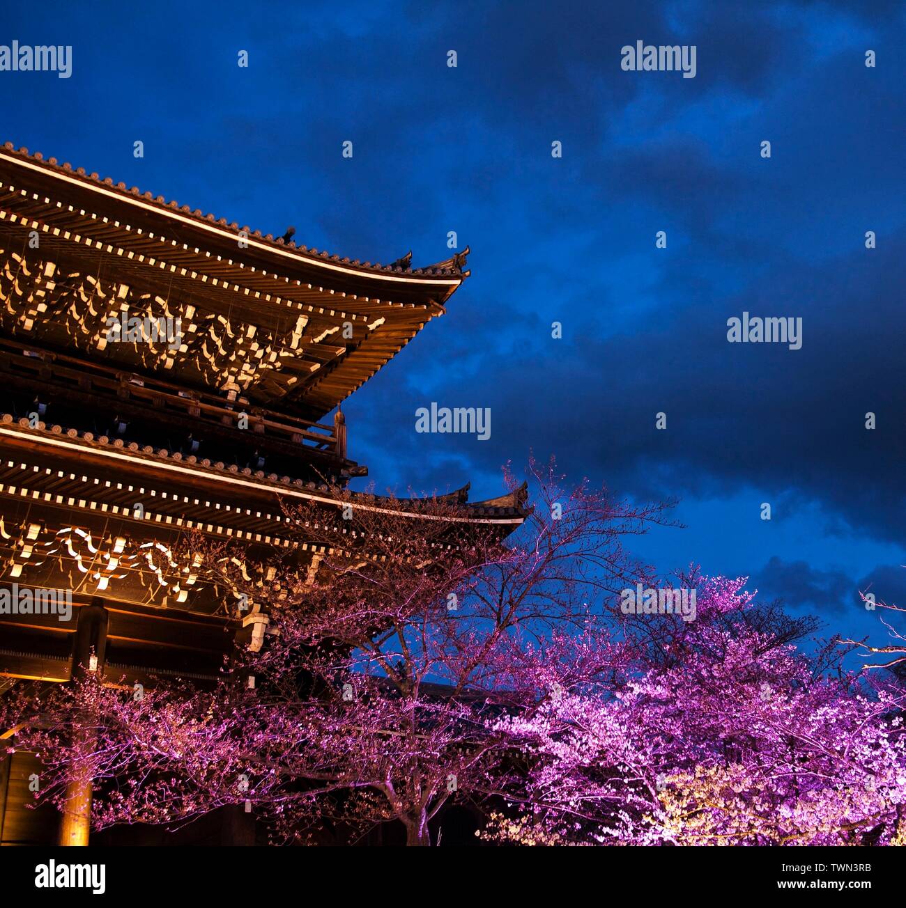 Sanmon Gate of Chion-in (Chionin) Temple at dusk with cherry blossom or sakura, Kyoto, Japan Stock Photo