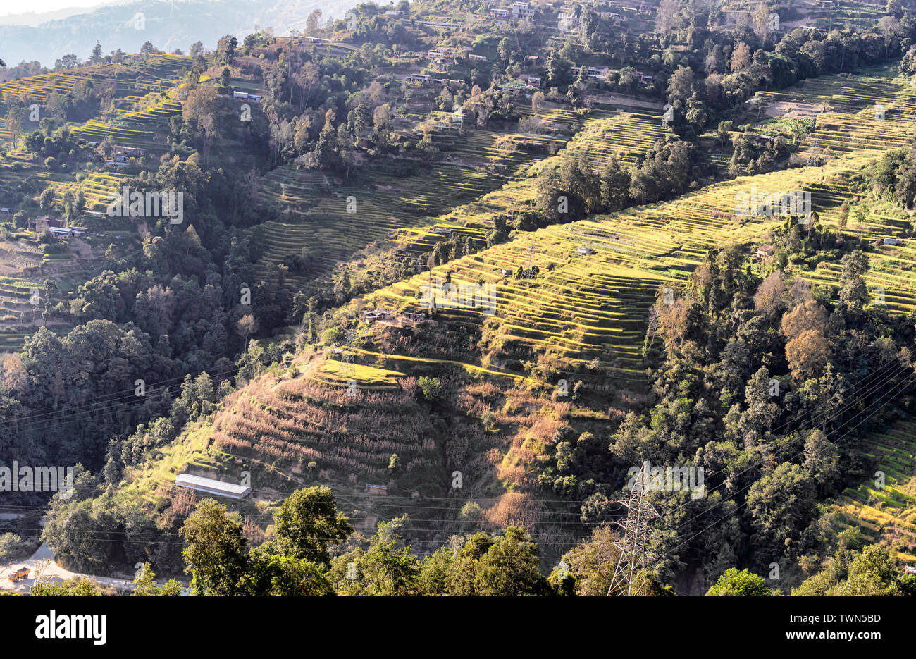 Landscape view at agriculture terraces in the rural area in Kathmandu Valley near Kokani, Nepal Stock Photo