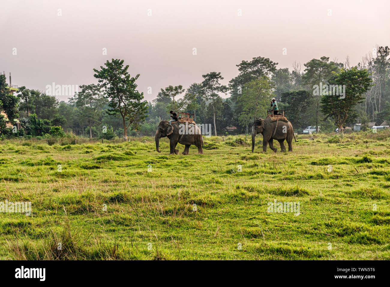 Riding elephants in nepal hi-res stock photography and images - Alamy