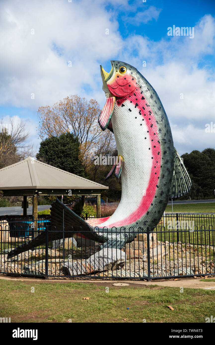 The Big Trout in Adaminaby, Australia Stock Photo