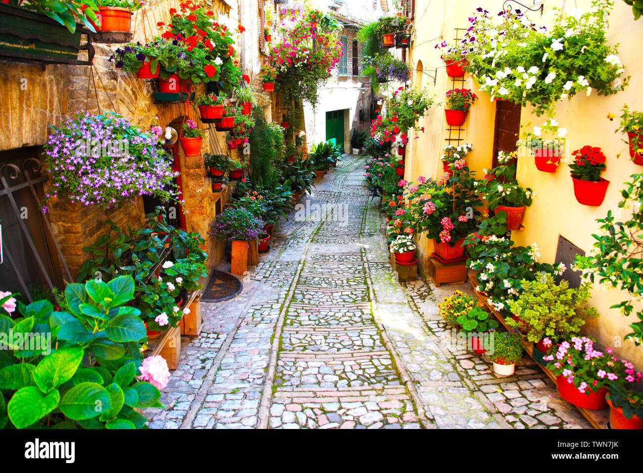 Flower lined street in hi res stock photography and images Alamy Flower lined street in hi res stock photography and images Alamy