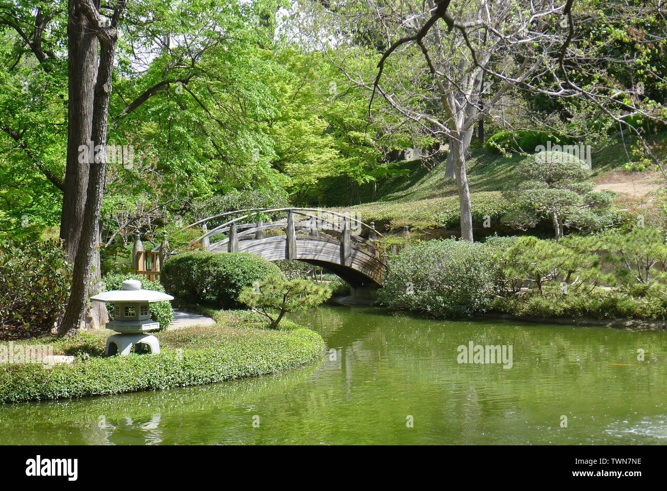 Moon Bridge and Stone Lantern in the Fort Worth Japanese Garden Stock Photo