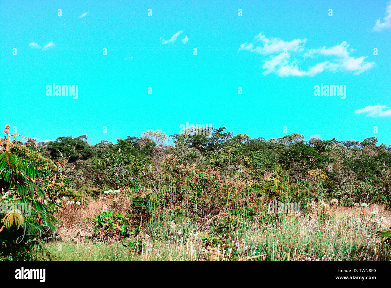 Landscapes of Chapada dos Veadeiros Stock Photo