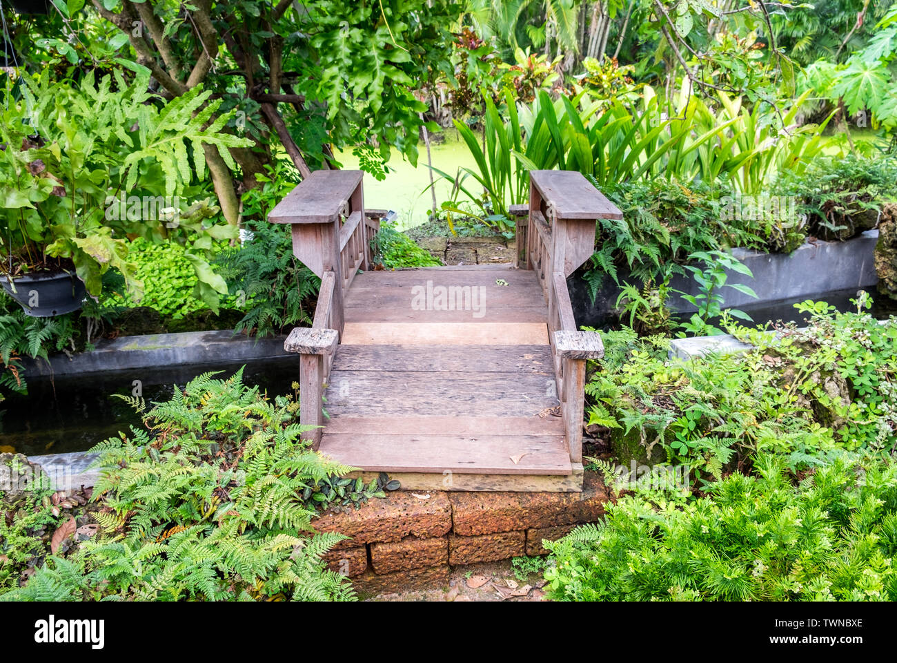 Wooden Bridge And Stream In Shady Garden Stock Photo 256781910