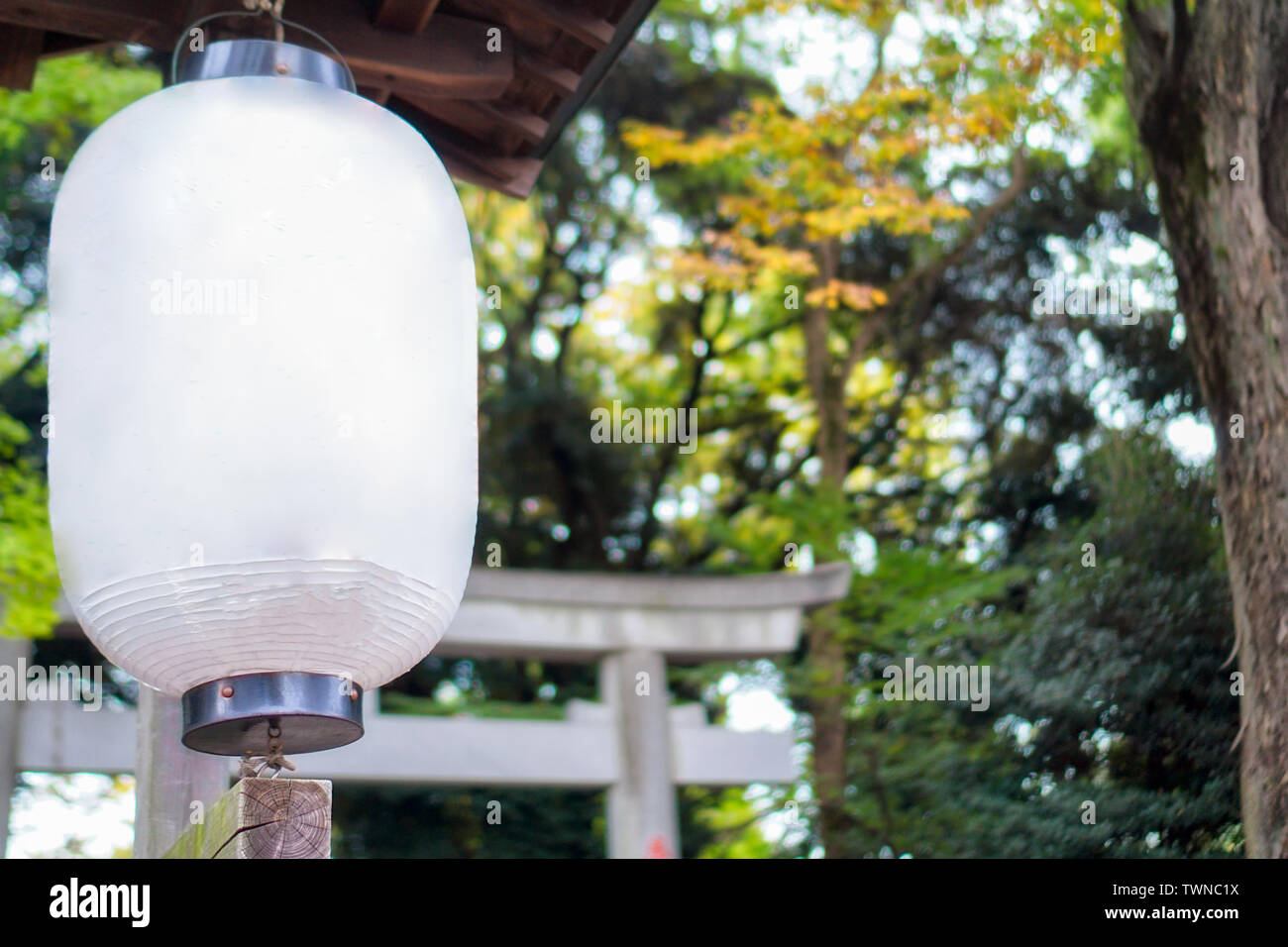 White paper lantern lamp hang hi-res stock photography and images - Alamy
