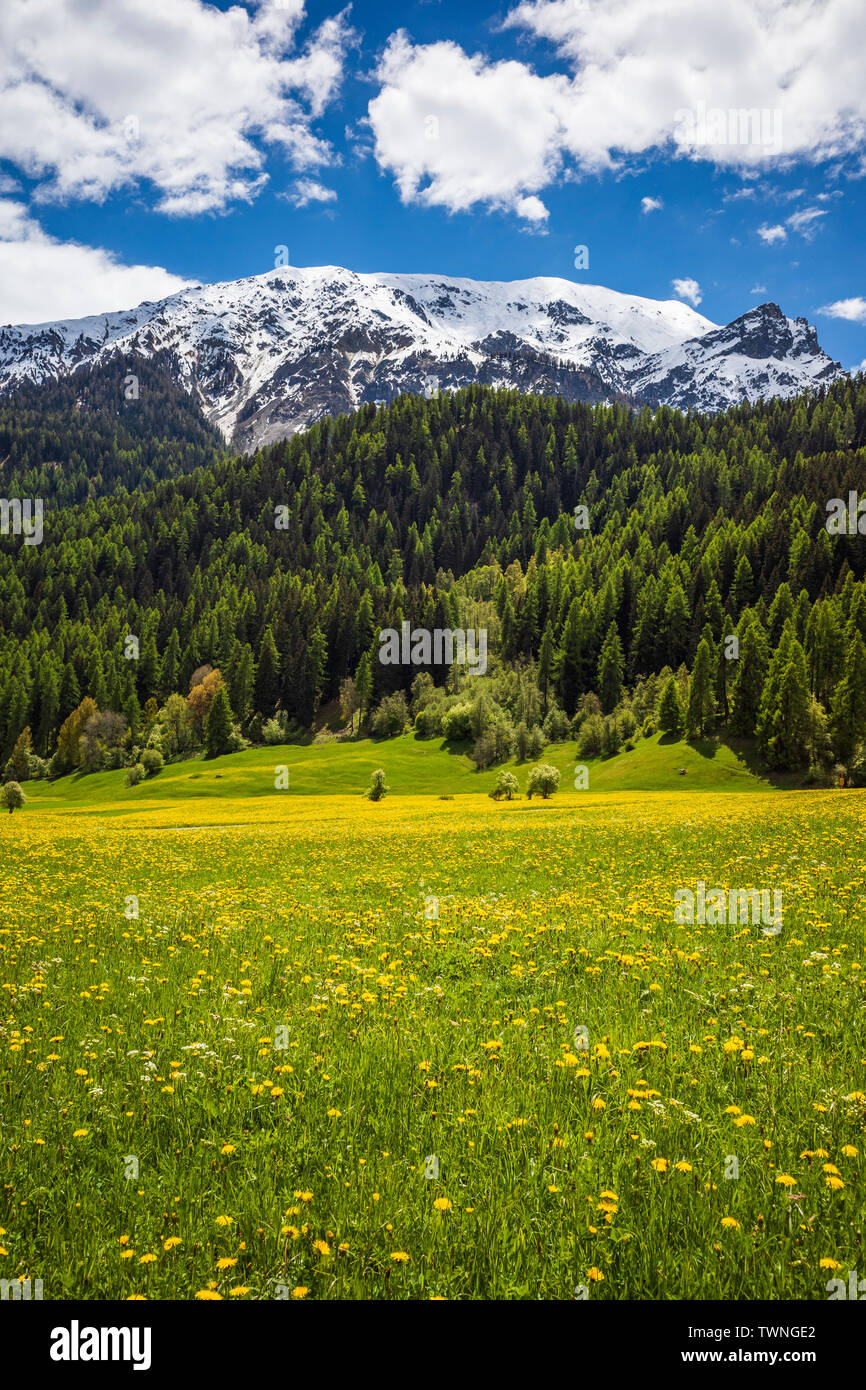 mountains landscape alps in europe Stock Photo - Alamy