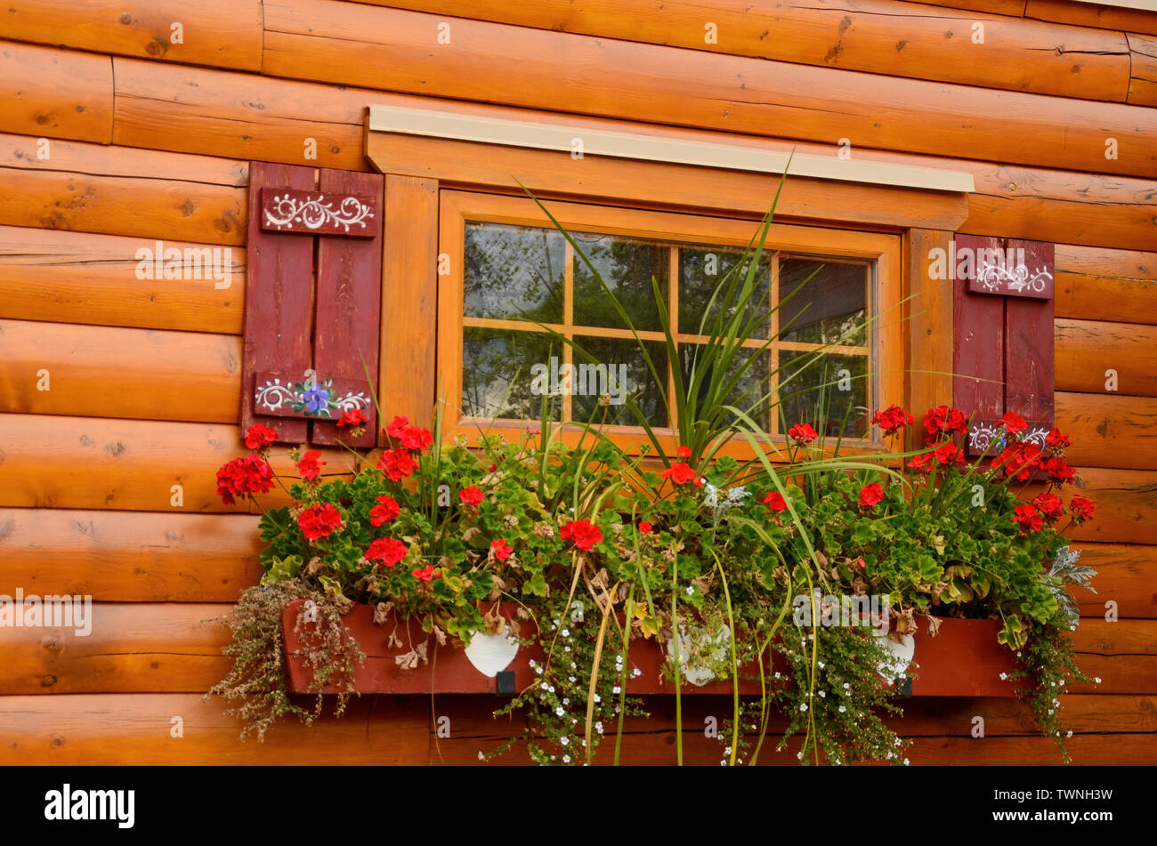 beautiful flower box in canada Stock Photo Alamy