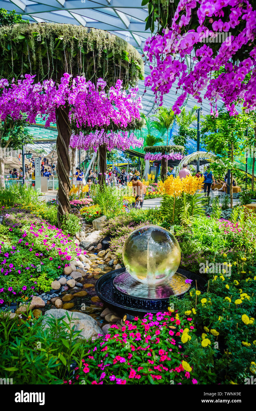 トリートユアセルフFlower petal jaguard balloon OP Balloon flower