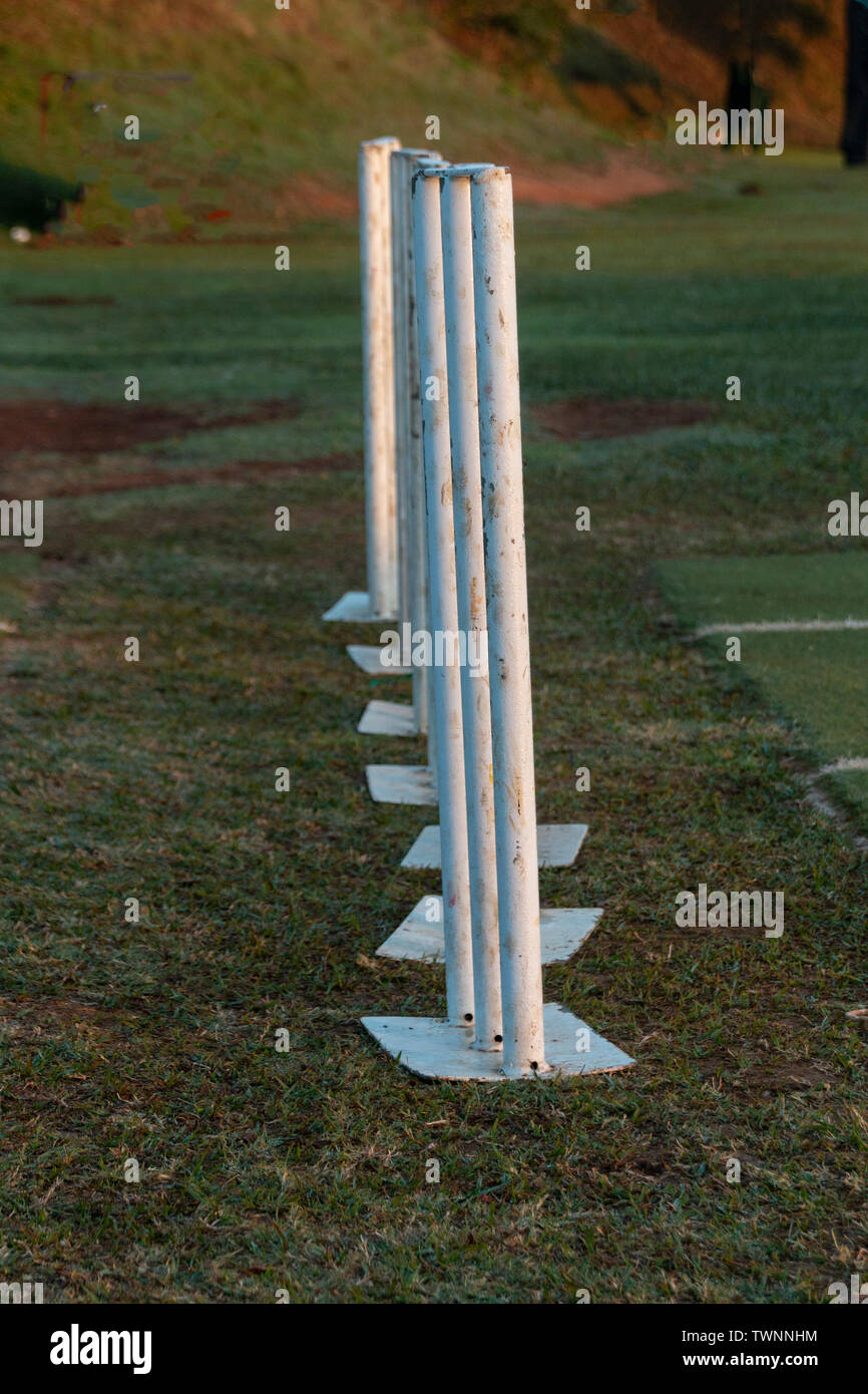 A close up view of seven white metal cricket wickets all in a row on the field ready for practice Stock Photo