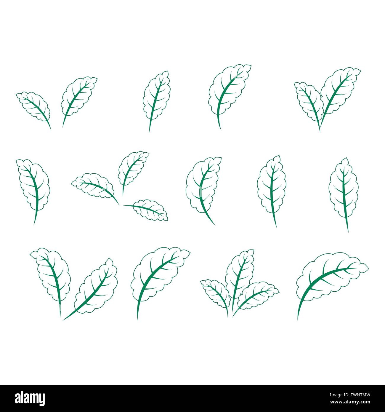 set of isolated green leaves icons on white background Stock Vector ...