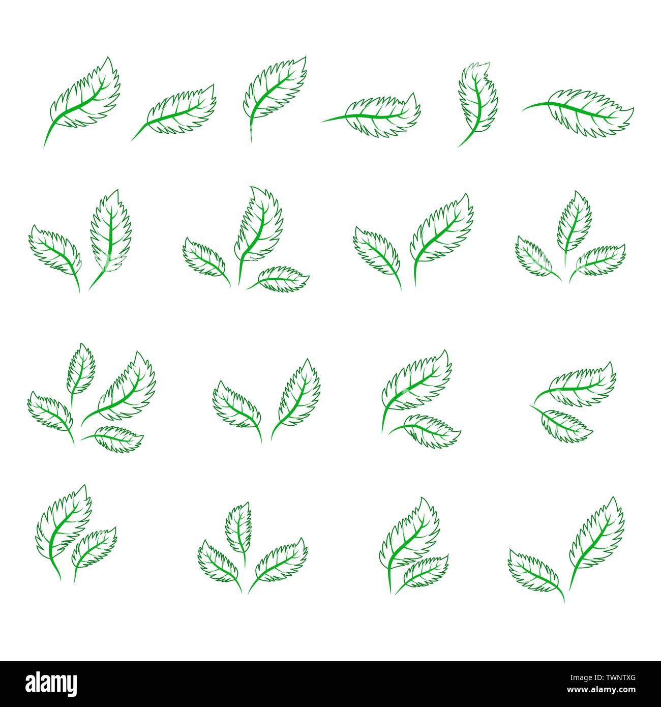 set of isolated green leaves icons on white background Stock Vector ...