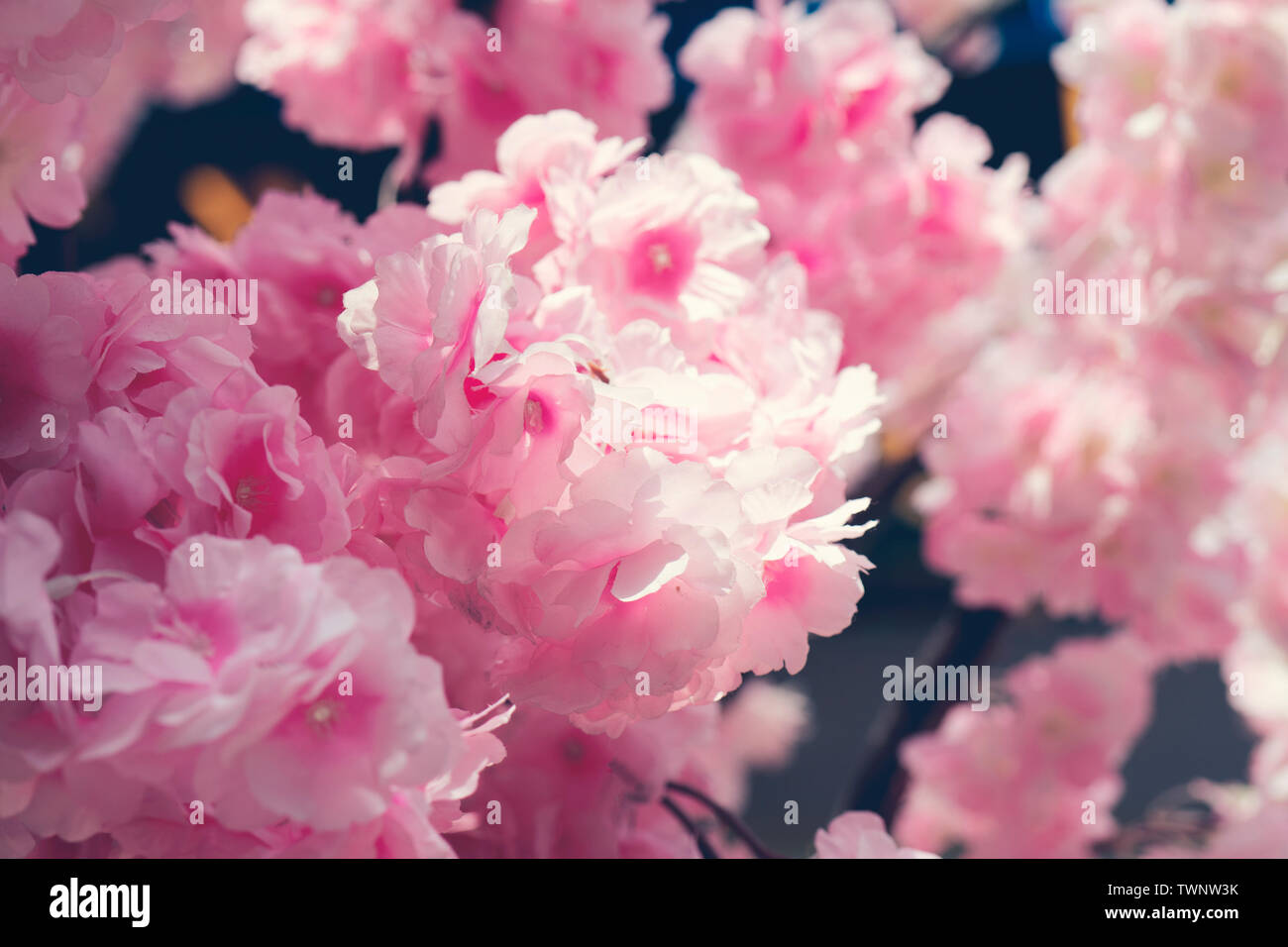 Pink fake flowers, background, texture Stock Photo