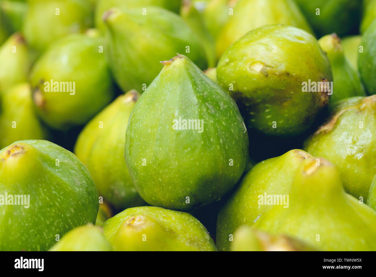 close up fresh green figs Stock Photo