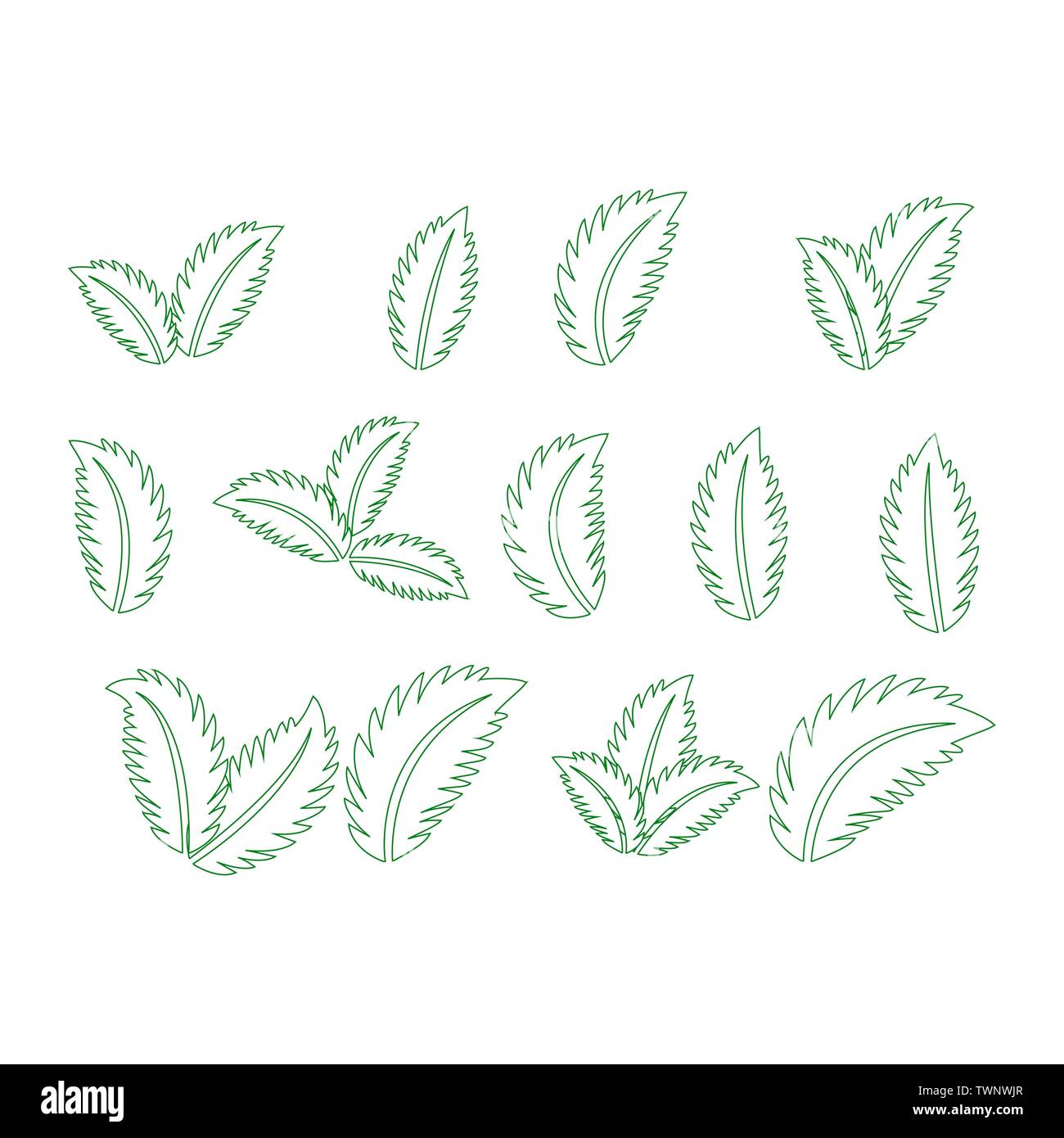 set of isolated green leaves icons on white background Stock Vector ...