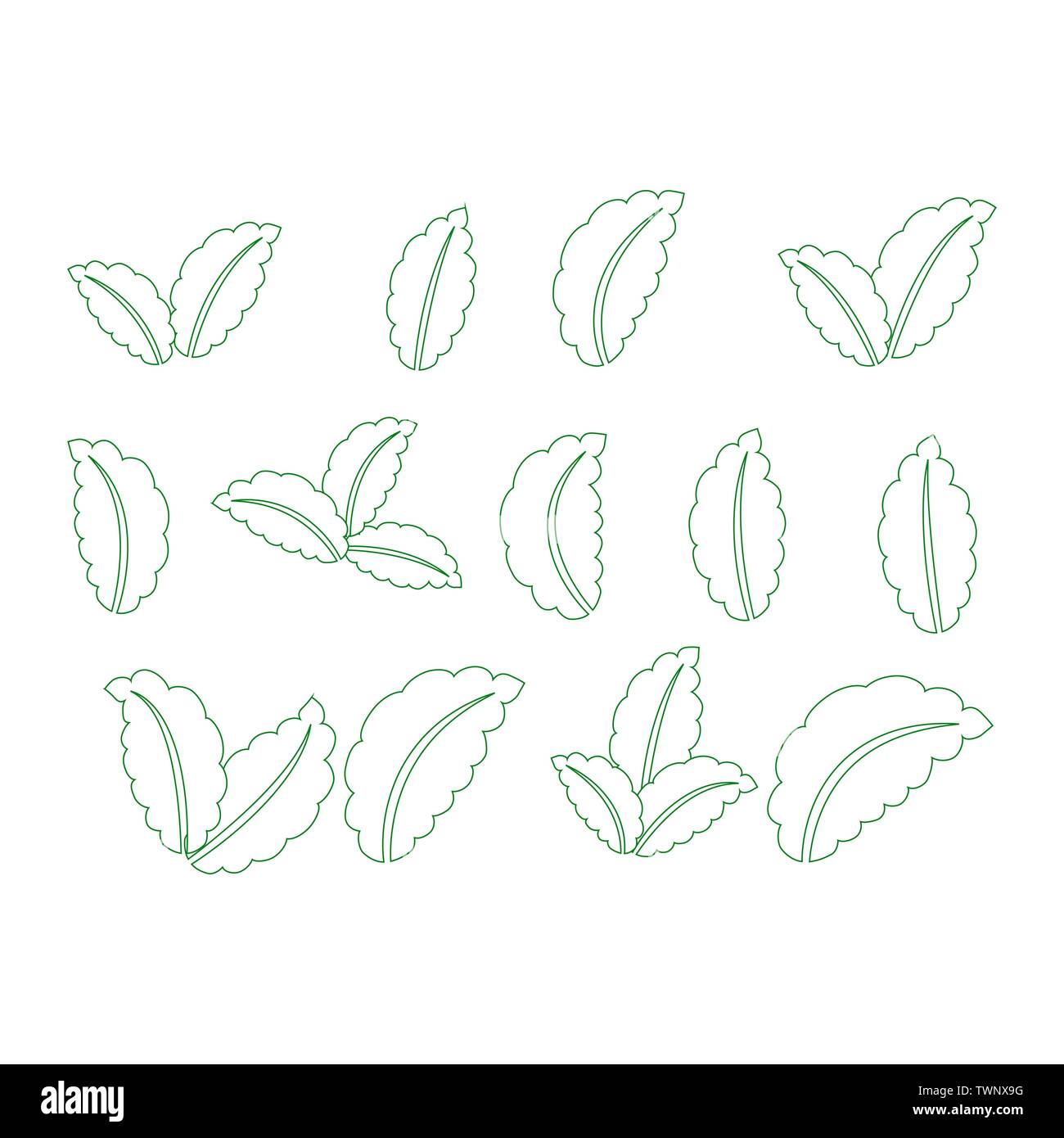 set of isolated green leaves icons on white background Stock Vector ...
