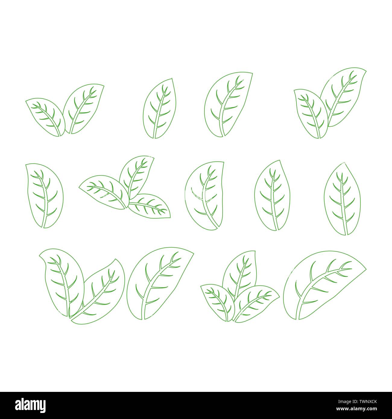 set of isolated green leaves icons on white background Stock Vector ...