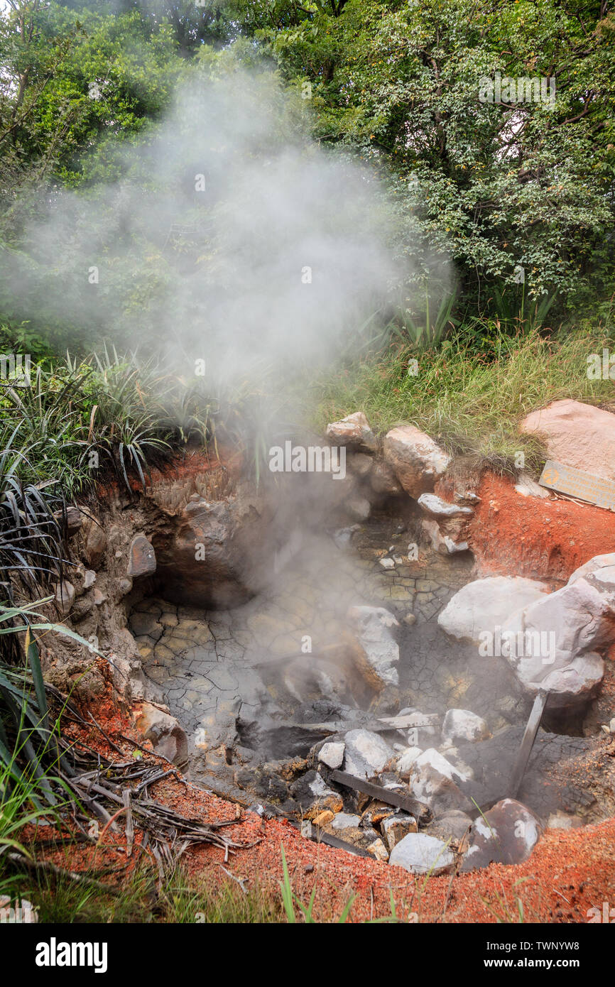 View of boiling mud pot in Rincon de la Vieja National Park in Costa Rica Stock Photo