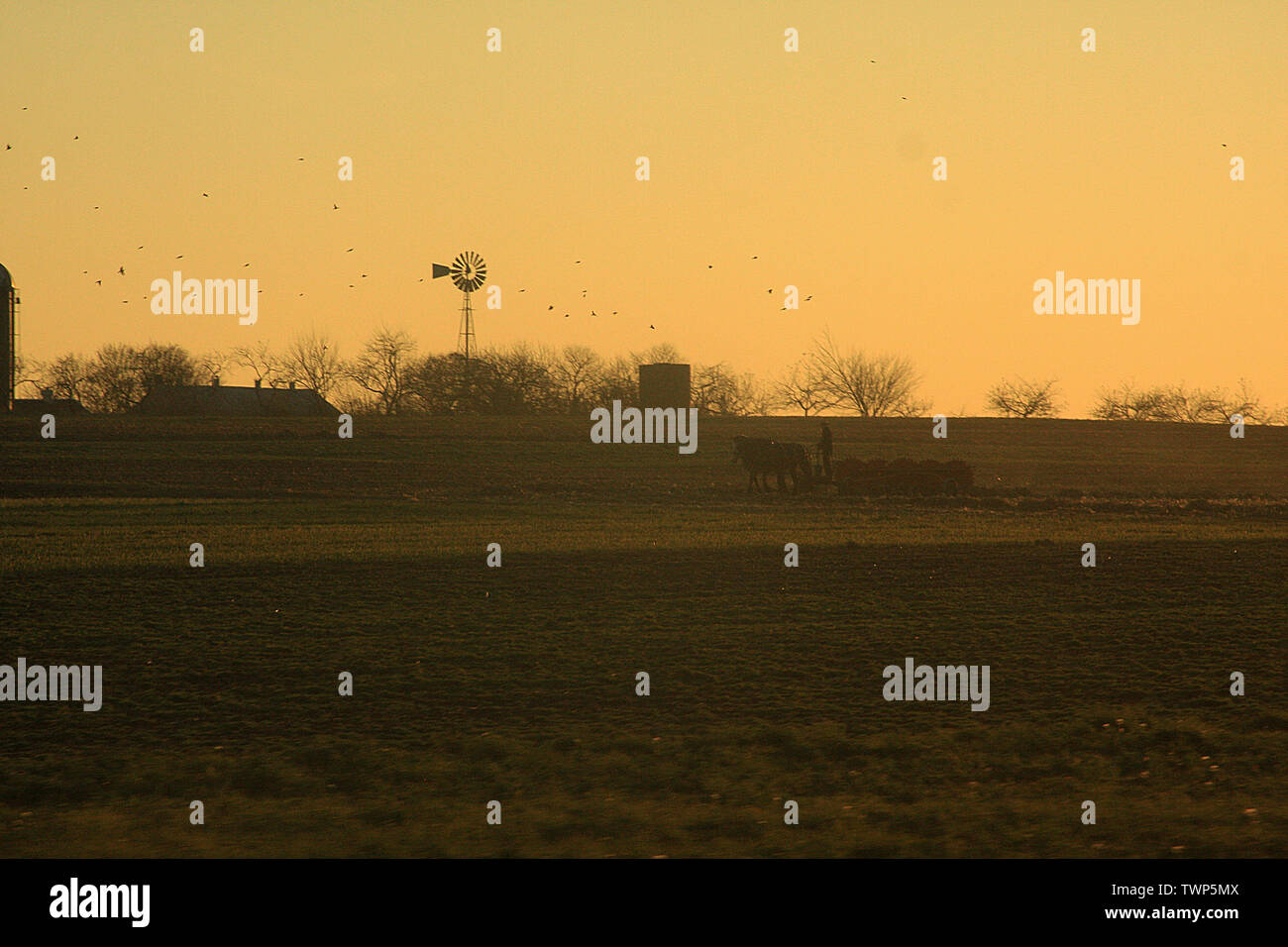 Windmill on the field at sunset in Lancaster County, PA, USA. Stock Photo