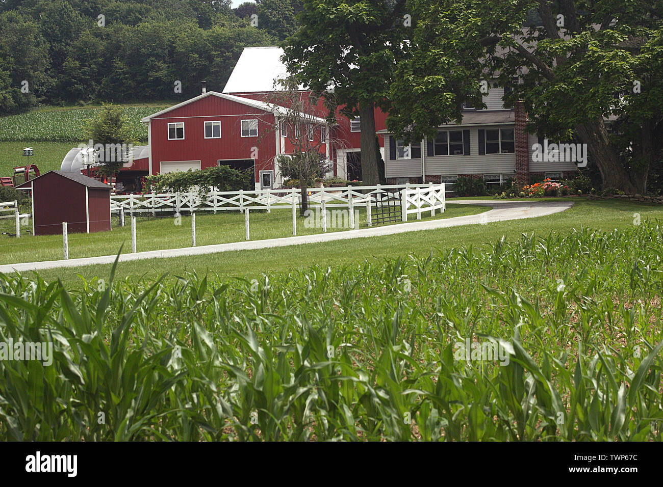 Farmhouse in Lancaster County, PA, USA Stock Photo Alamy