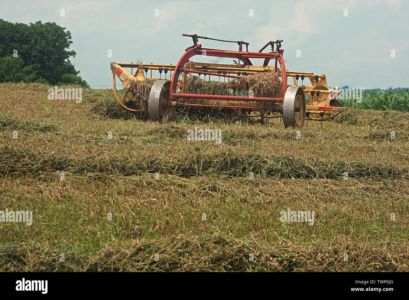 Hay tedder machine on field Stock Photo - Alamy