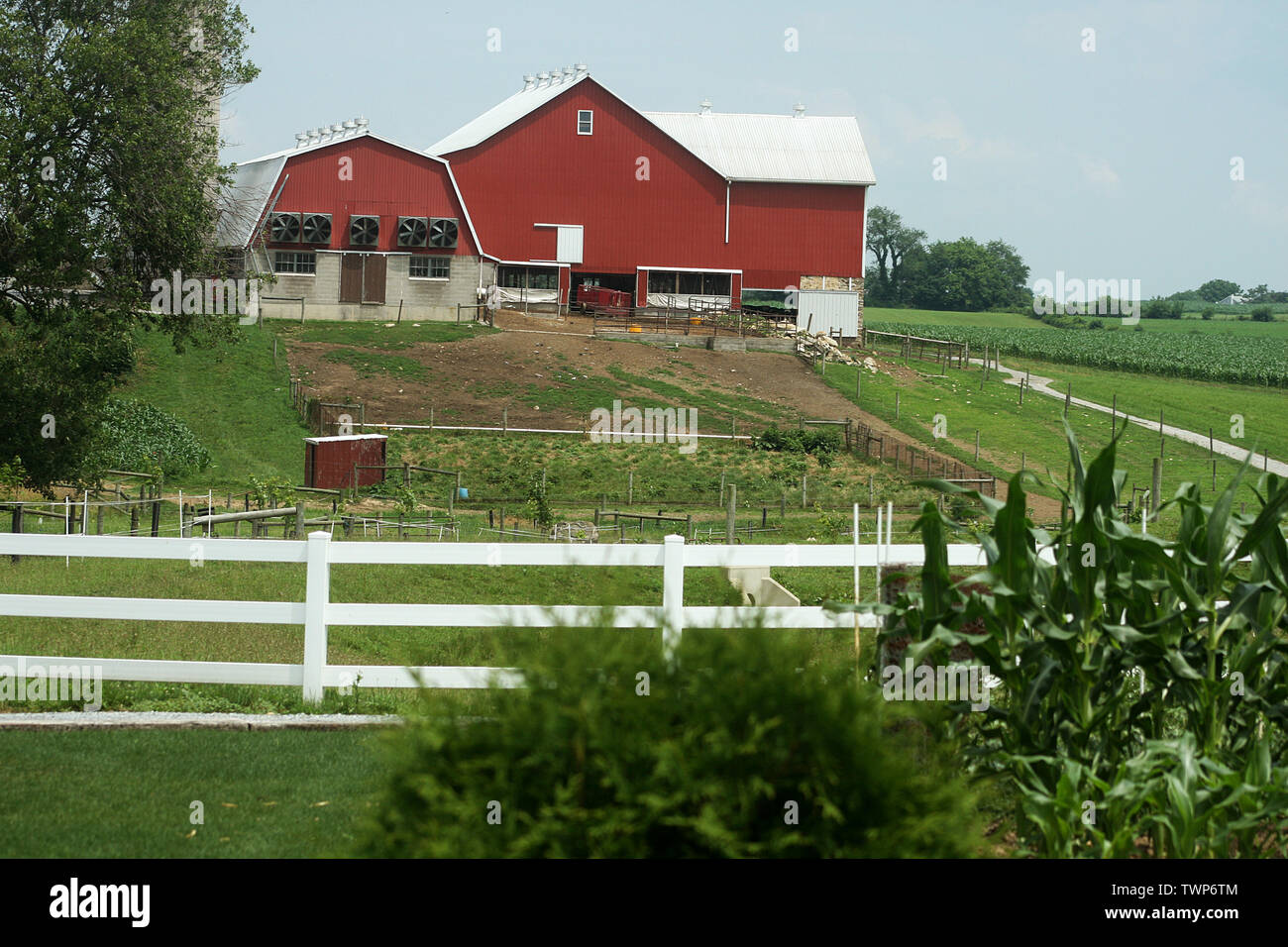 Large barn and livestock housing in Lancaster County, PA, USA Stock
