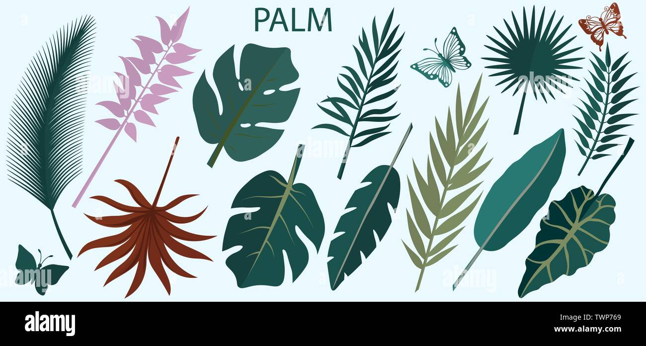 Vector set of tropical leaves Stock Vector Image & Art - Alamy