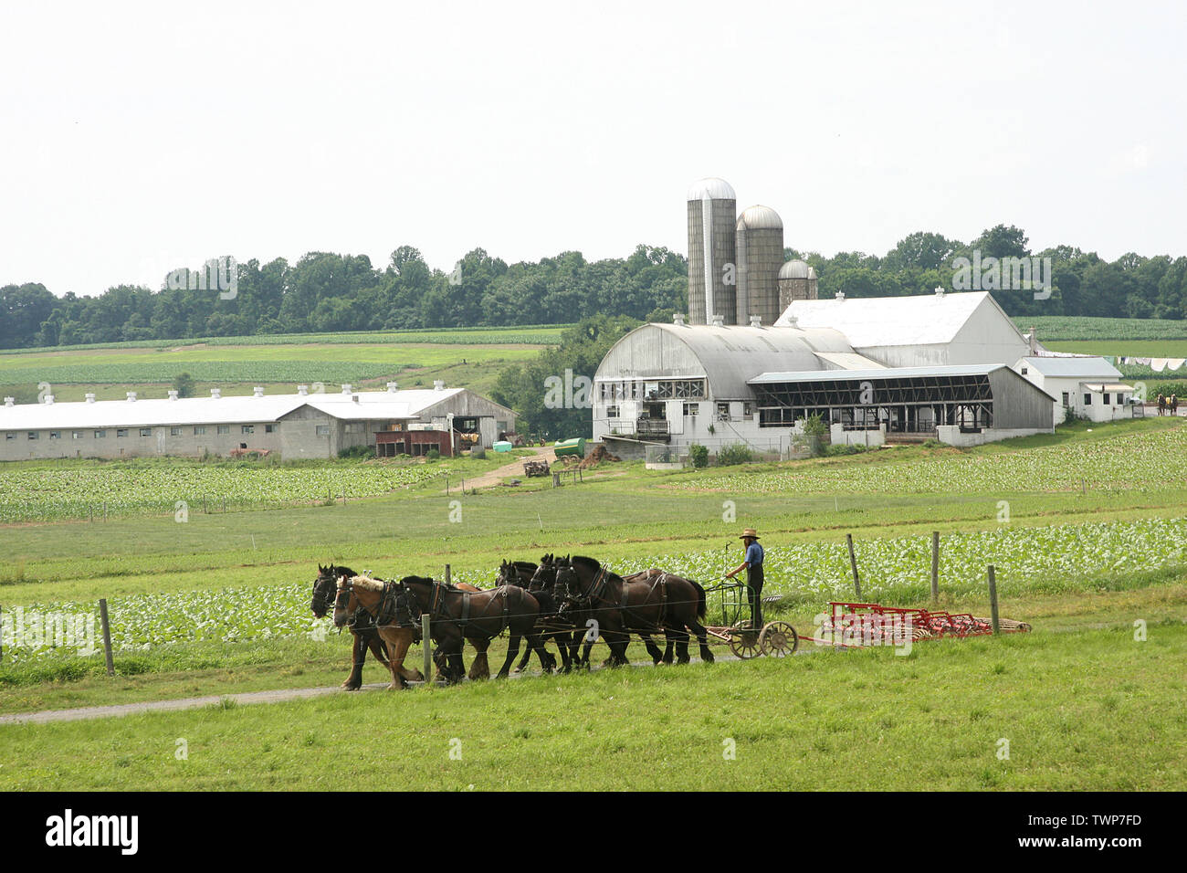 Amish Farmers Farm People Hi-res Stock Photography And Images - Alamy