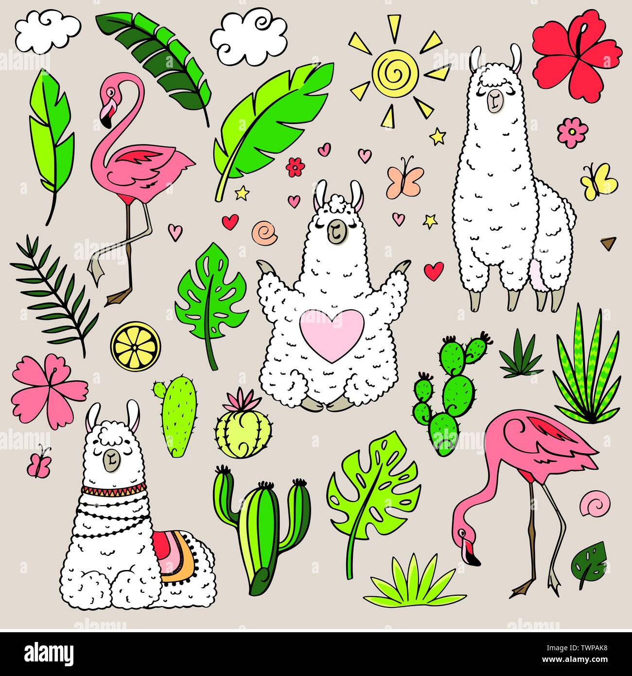 Lama In Cartoon Style Stock Vector Image Art Alamy