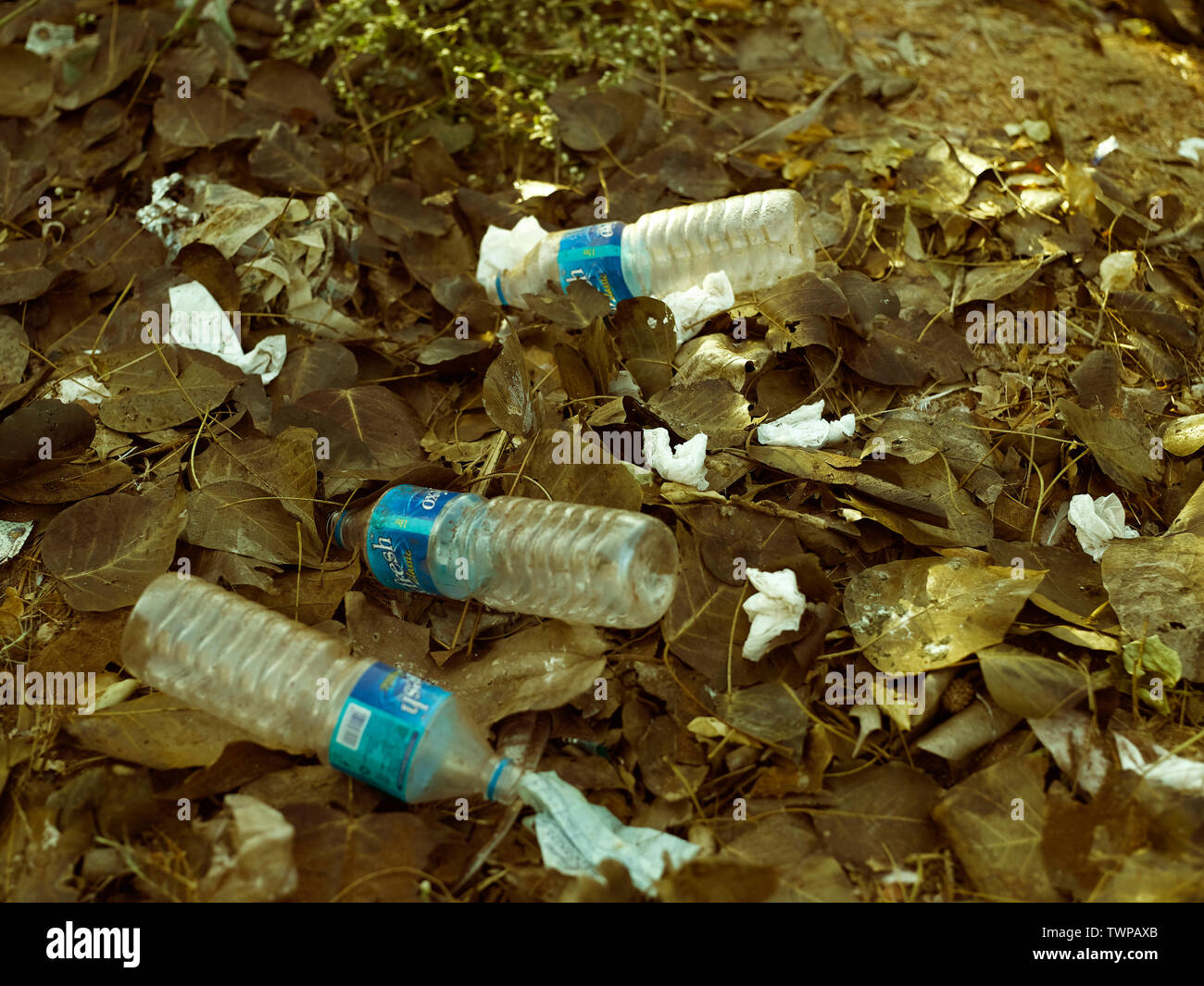 PLASTIC BOTTLES THROWN ON STREETS OF MUMBAI, INDIA, ASIA Stock Photo