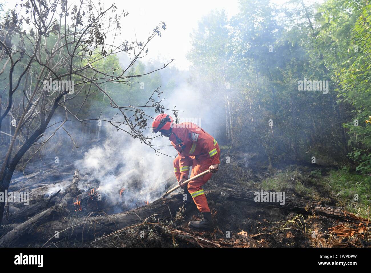 Genhe. 22nd June, 2019. A firefighter examines a fire site at Xiushan forest farm of the Greater Hinggan Mountains, north China's Inner A forest fire that raged for three days in north China's Inner Mongolia Autonomous Region has been contained, local authorities said Saturday. The clean-up operation is underway at Xiushan, according to the firefighting headquarters. After a huge effort by over 5,000 firefighters, the fire was put under control on all fronts by 4:40 p.m. Saturday. Credit: Liu Lei/Xinhua/Alamy Live News Stock Photo