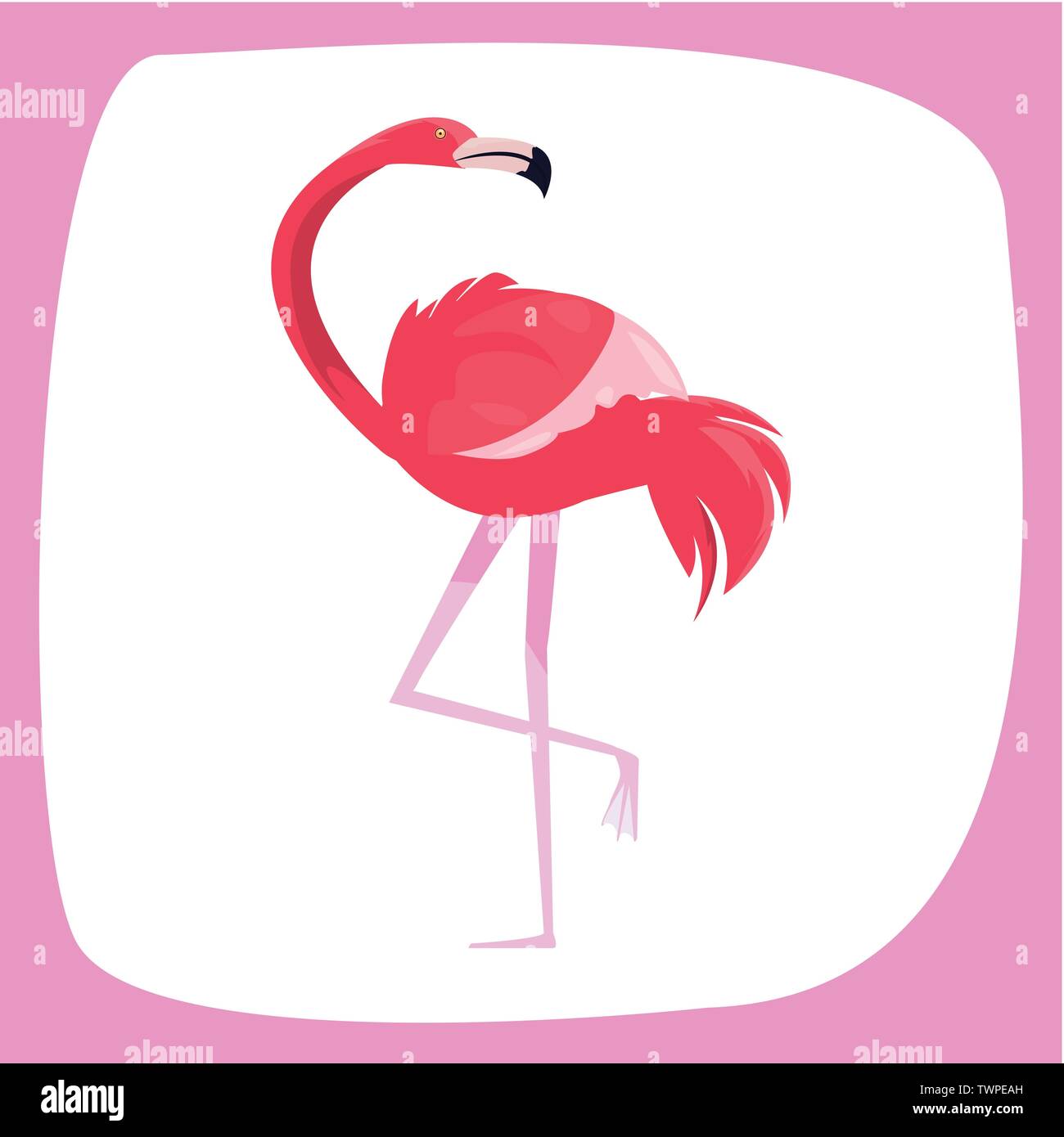 summer time holiday flamingo poster vector illustration Stock Vector ...