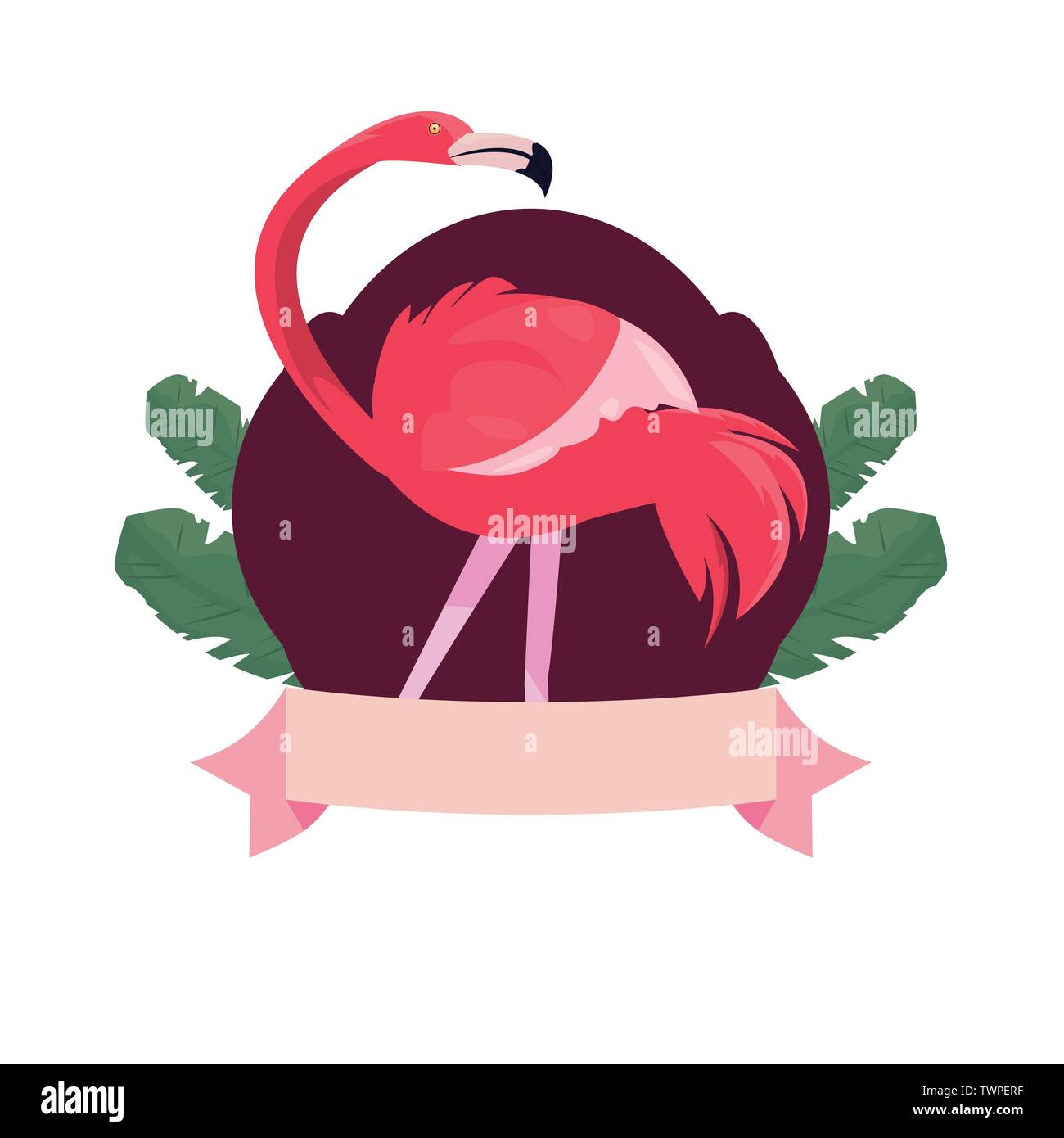 summer time holiday flamingo badge tropical leaves vector illustration ...
