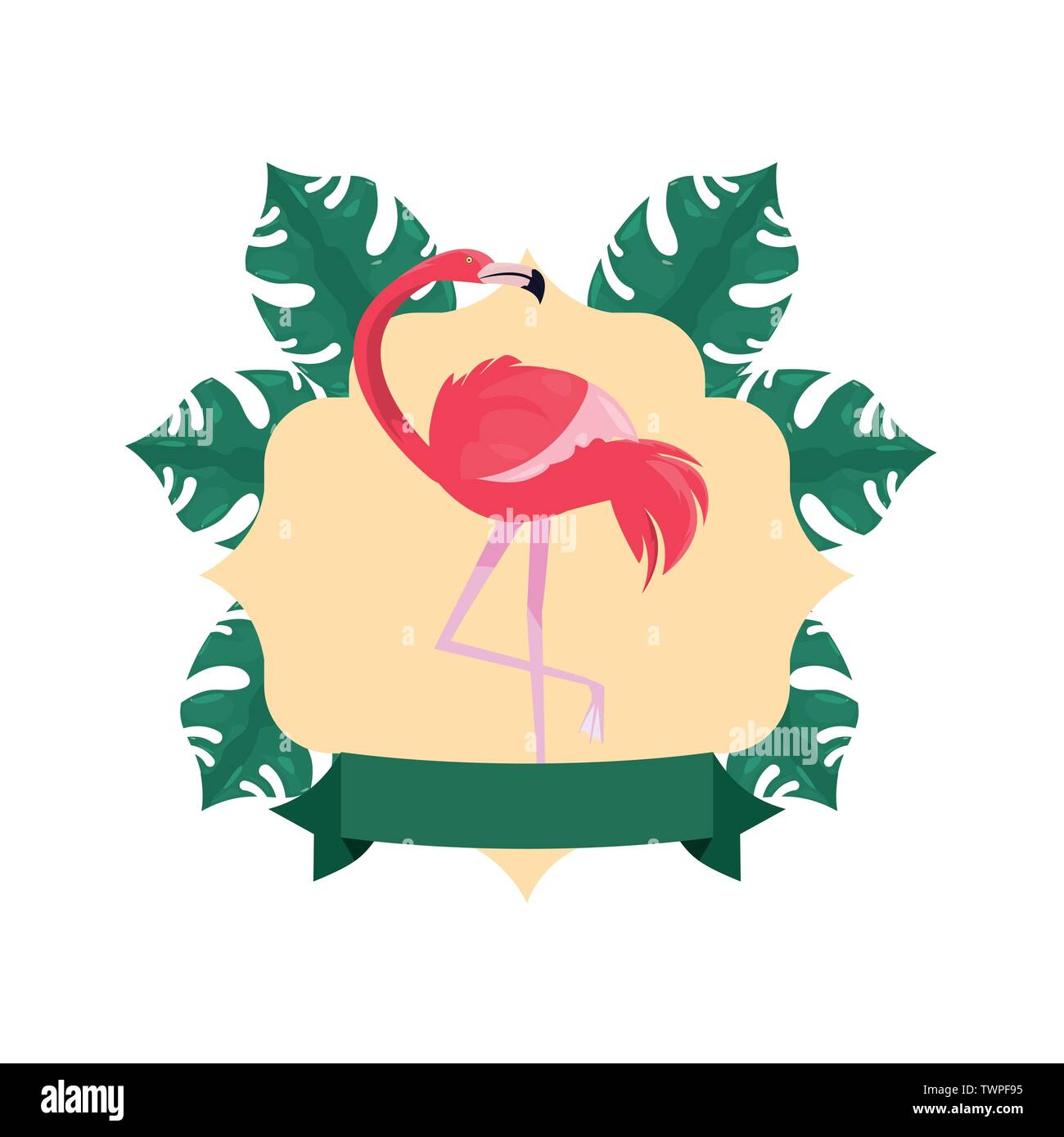 summer time holiday flamingo badge tropical leaves vector illustration ...