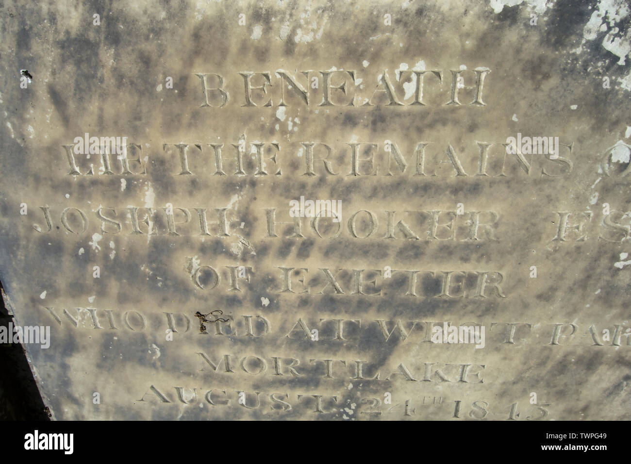 inscription on the grave of joseph hooker, 19th botanist and explorer, and director of kew gardens, in the hucrchyard of st annes church, kew, london Stock Photo