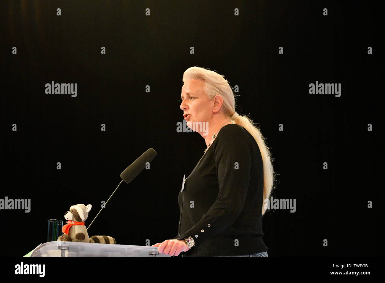 Vienna, Austria. 22st June, 2019. National Assembly of the Green Party Vienna. Election of the candidate list from the Green Party Vienna  for the National Council election on September 29, 2019. Daniela Kickl, applies for a list position for the National Council election.  Credit: Franz Perc/Alamy Live News Stock Photo