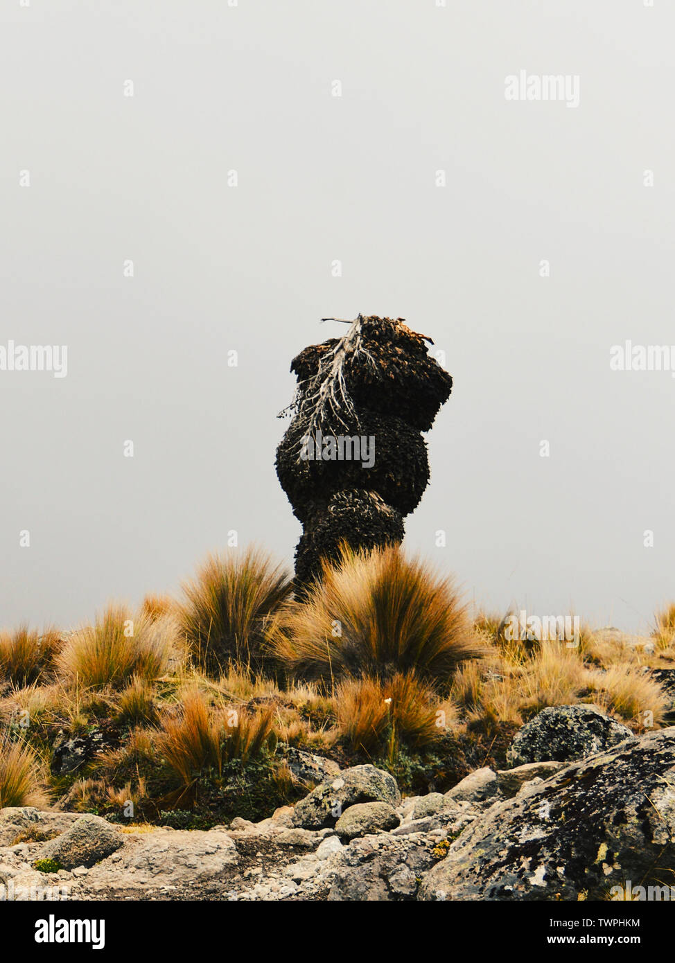 Scenic mountain landscapes against sky in mount Kenya Stock Photo