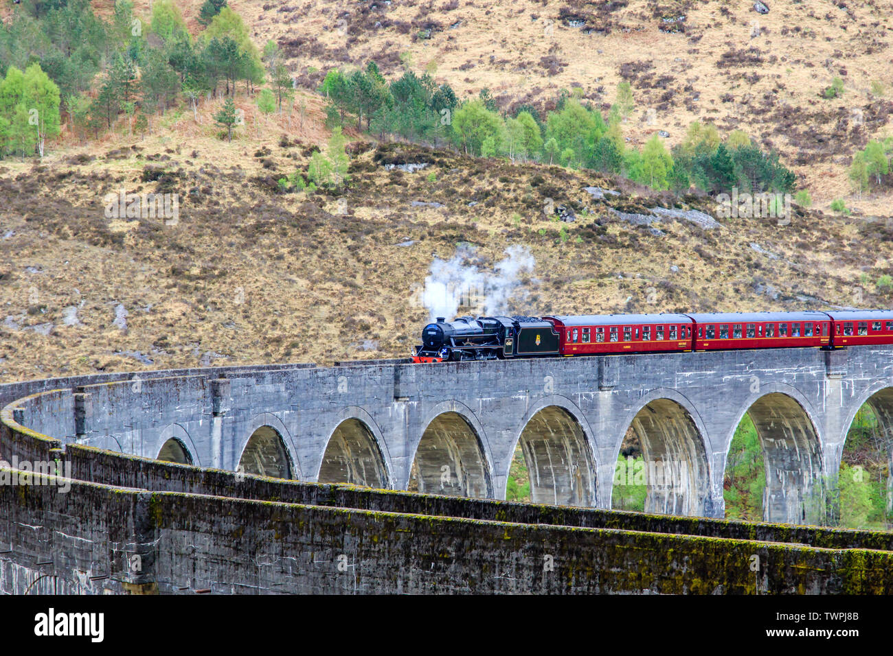 Jacobite Steam Train Crossing The Glenfinnan Viaduct Stock Photo - Alamy