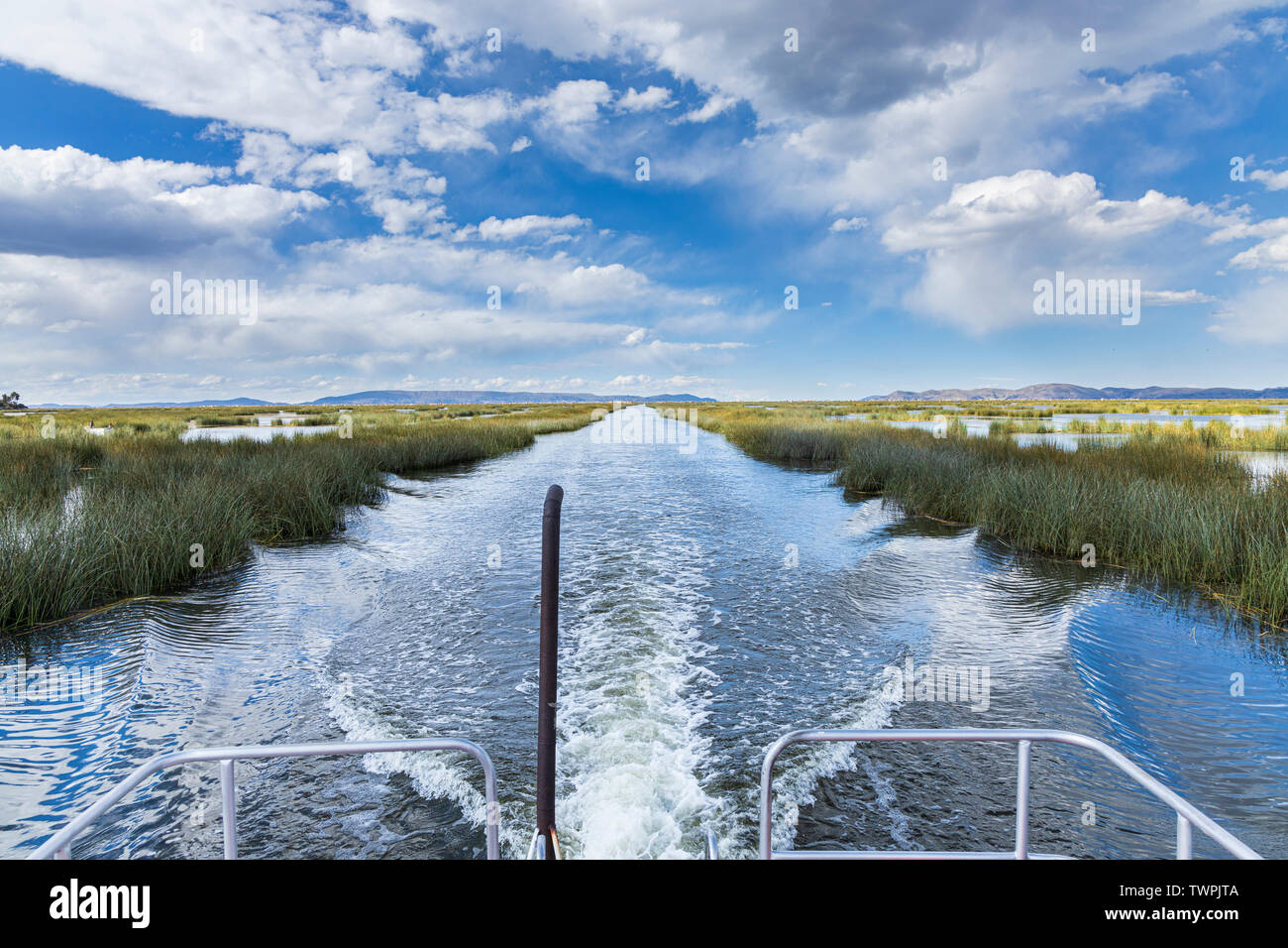 Totoro Reeds Travelling on a boat through a channel in the totora reeds on Lake ...