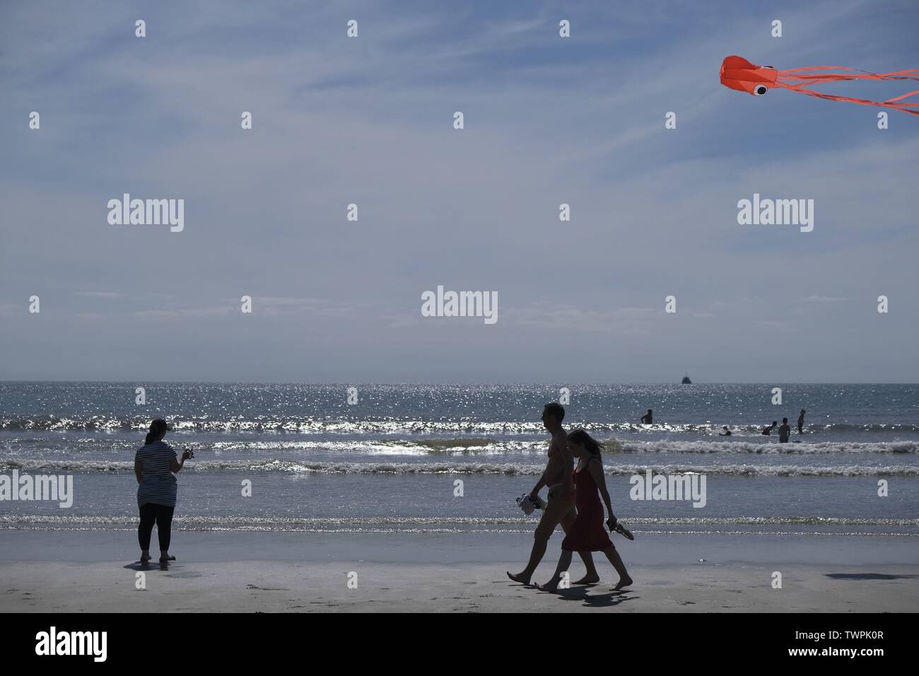 Gower, Swansea, Wales, UK. 22nd June 2019. Weather: Beachgoers absorb the sunshine and warmer temperatures at Llangennith beach on the Gower coast, south Wales. The outlook is warmer than of late but becoming cloudy with some showers and possibly thunder. Credit: Gareth Llewelyn/Alamy Live News Stock Photo