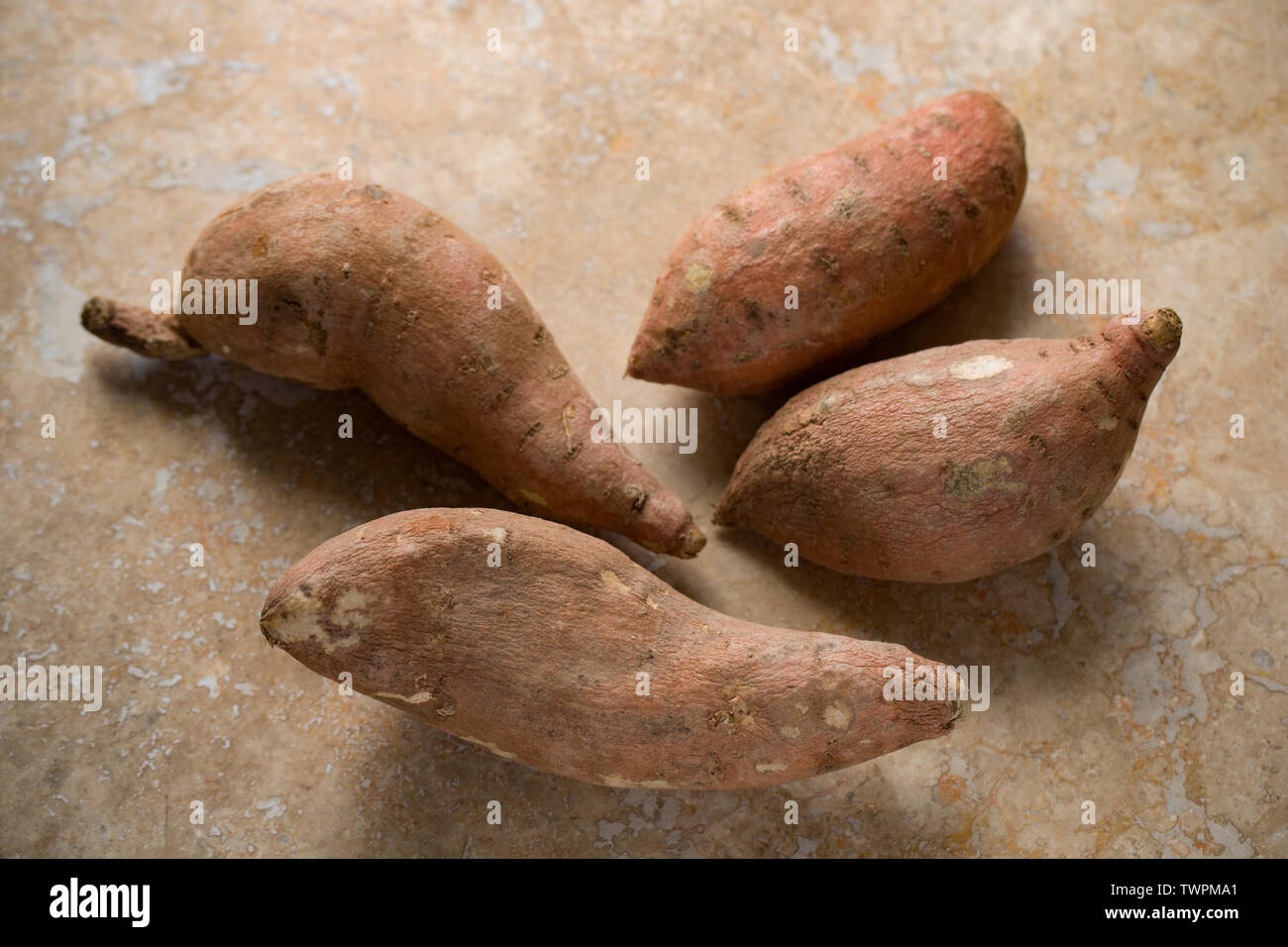 Raw, uncooked sweet potatoes imported from the USA and bought from a supermarket in the UK displayed on a light stone background. Dorset England UK GB Stock Photo