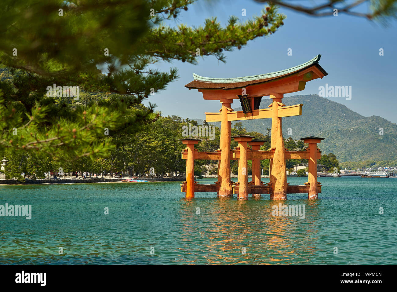 Itsukushima Torii, floating gates framed by pine tree branches. Stock Photo