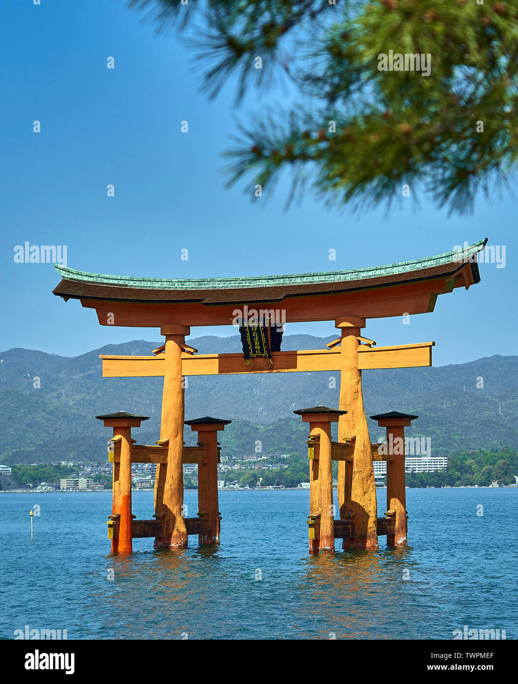 Itsukushima Torii, floating gates framed by pine tree branches Stock ...