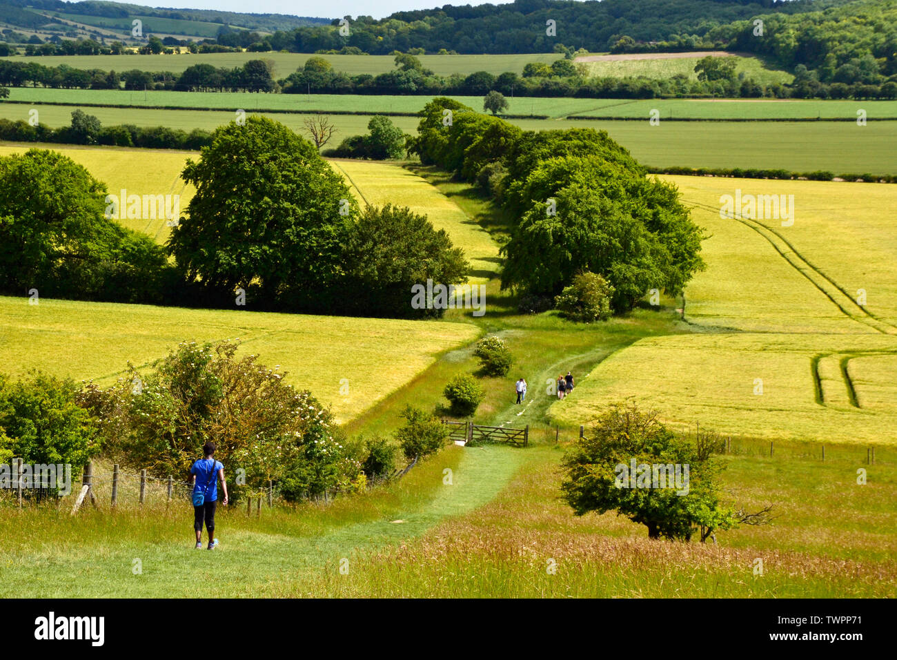 People walking in the countryside beside Ivinghoe Beacon, Ashridge Estate, Ivinghoe, Buckinghamshire, Chilterns, UK Stock Photo