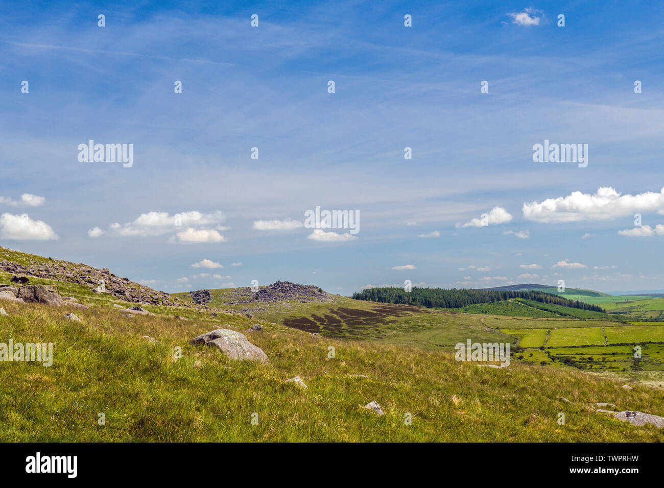 The Preseli Hills in north Pembrokeshire showing Foel Drygarn in the distance on a sunny June day Stock Photo