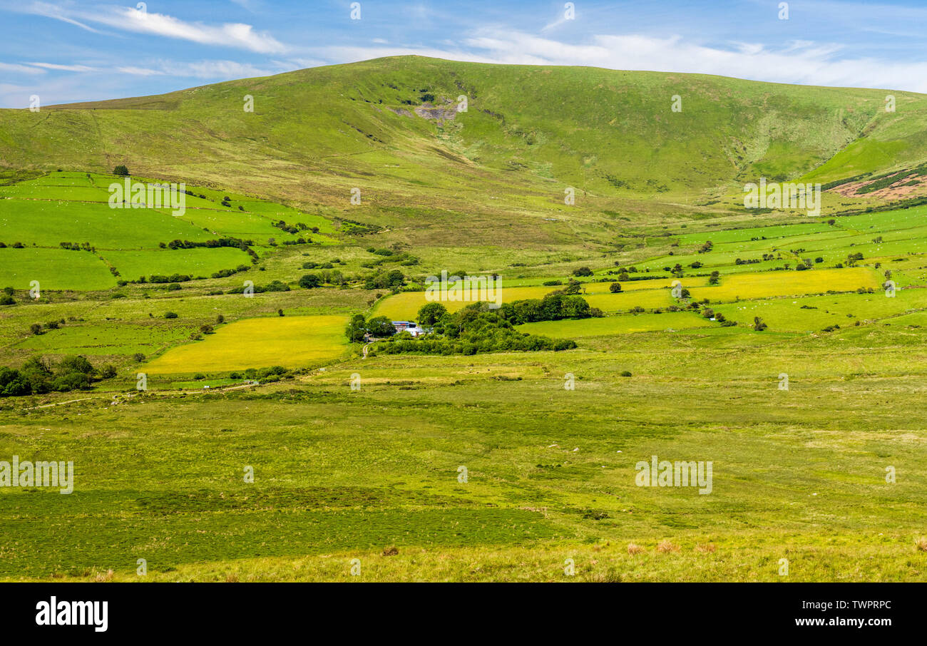 Foel Cwmcerwyn in the Preseli Hills of North Pembrokeshire in west Wales on a sunny summer day Stock Photo