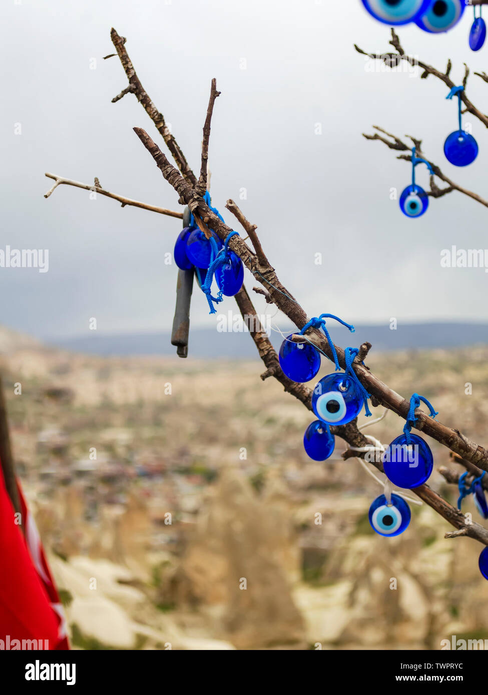 Many traditional Turkish amulets - Nazar boncuk or Fatima Eye hang on the branches of a wishes tree Stock Photo