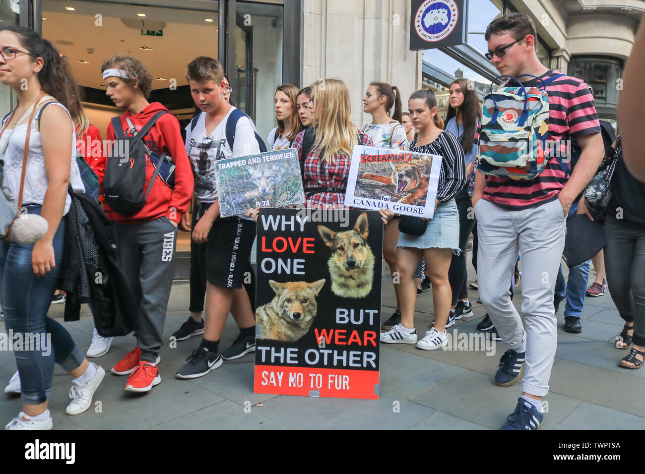 Canada goose 2025 protest london 2019