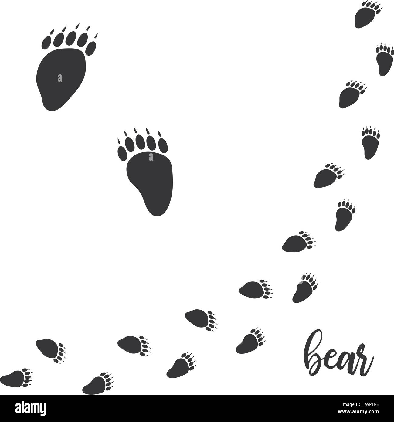 Bear paw vector foot trails. footprints of wild bear. diagonal tracks for t-shirts, backgrounds, Stock Vector