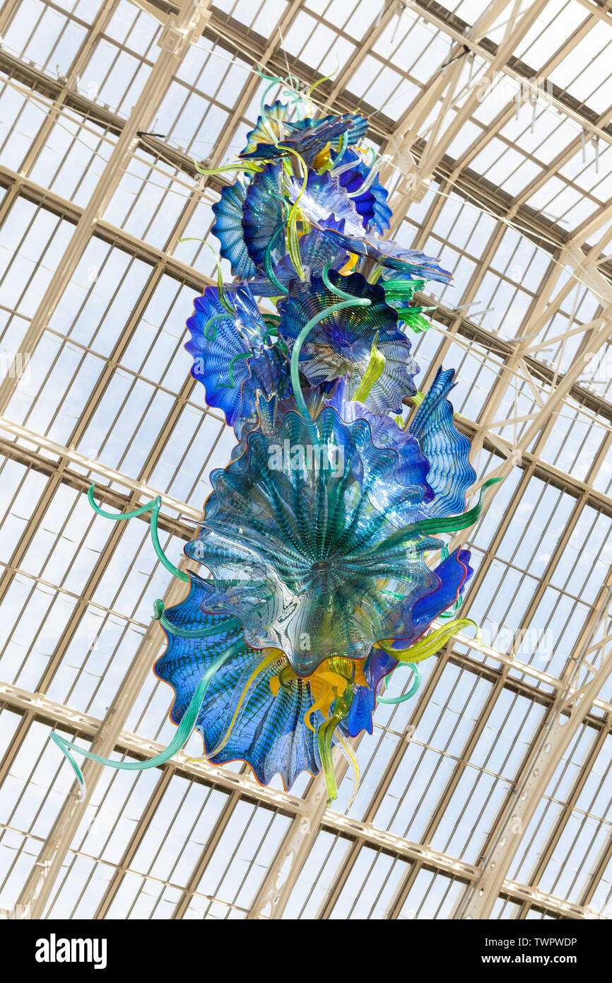 Temperate House Persians is a glass sculpture by contemporary USA artist Dale Chihuly, suspended in The Temperate House at Kew Gardens, London. Stock Photo